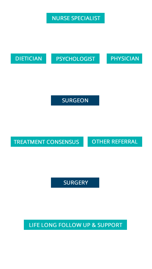 weight loss surgery flowchart2 weight loss surgery flowchart